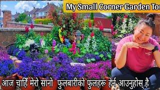 My Small Corner Garden Tour | Nepali gardening vlogs