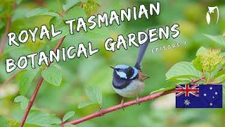 TASMANIAN ROYAL BOTANICAL GARDENS - TRAILER