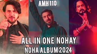 All In One Nohay Albums 2024 | Nadeem Sarwar |  Farhan Ali waris | Irfan haider | all nohay casete