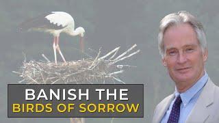 Banishing the Birds of Sorrow | Shane Mulhall