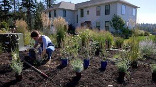 Designing a Vibrant Summer Garden, Deer Resistant and Pollinator Friendly