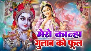 मेरो कान्हा गुलाब को फूल किशोरी मेरी कुशुमकली~Mero Kanha gulab ko phool~ krishna bhajan~कृष्ण भजन,