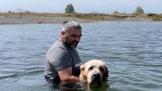 Привезли «особенных» собак купаться на озеро