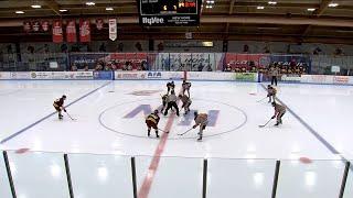 Girls Hockey - Fergus Falls vs. Osseo/Park Center