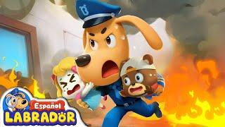 Sheriff Labrador - Botellas e Incendios ️ | Videos para Niños | BabyBus en Español