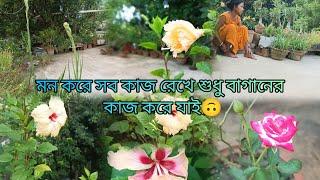 মন করে সকালে ঘুম থেকে উঠে সংসারের কাজ রেখে বাগানের কাজই করে যাই। 🪴🪴🪴🪴🪴🪴