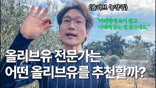 쿠팡에서 싼 거 사도 될까? 올리브유 테이스터에게 물어봤습니다 (추천 가격대, 가열 요리, 신선도) [EN/KR]