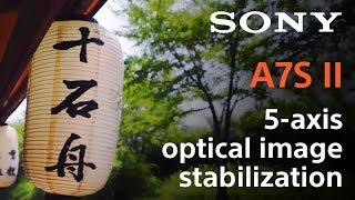 α7S II - 5-axis optical image stabilization | α | Sony