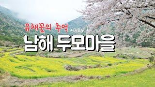 남해 두모마을 유채꽃 추억/봄꽃여행