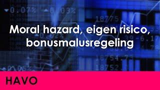 Moral hazard, eigen risico, bonusmalusregeling - Economie voor havo - Vragers & Aanbieders