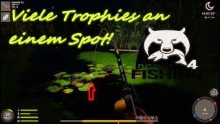 Russia Fishing 4 #04 Viele Trophies an einem Spot! ( Alte Festung )