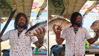 Tuna | Trevally Fish | Emperor Fish Cutting Skills By Mr.Ravi