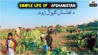 Simple Village life of Afghanistan | Rural life | 2021 | 4K