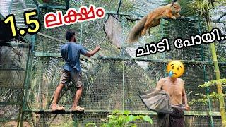 നമ്മുടെ അണ്ണാൻ ചാടി പോയി | Backyard FOREST | Fishing Freaks