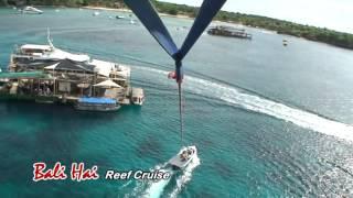 1. Bali Hai Reef Cruise.