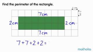 An Introduction to Perimeter