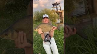 Часть 3. Неожиданный гость #врек #fishing #рыбалка #лещ #трофей #shotrs #rec #shortvideo #viral