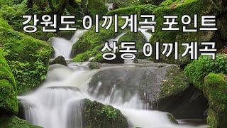 강원도 추천 이끼계곡포인트(상동이끼계곡)