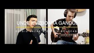 Liviu Teodorescu - Unde Iti Zboara Gandul? (Ovidiu Lazar & Ovidiu Bolocan Cover)