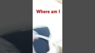 where am i