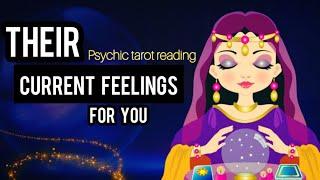 ️4 GROUPS PICK A CARD- THEIR CURRENT FEELINGS & NEXT MOVE FOR YOU TIMELESS HINDI TAROT READING