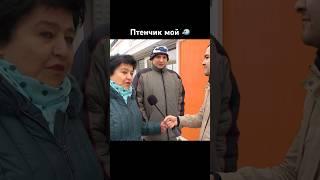 Мамин сынок
