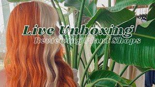 Unboxing Plant Trades & Reviewing Houseplant Shops Online | Stream Me Ashley