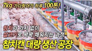 (참치캔은 3개월 뒤에 드세요!) 엄청난 규모 하루 100톤! 가시만 277개 있는 가다랑어가 살코기만 참치캔에 빈틈없이 꽉꽉 채워지는 과정ㅣ참치캔 대량 생산 공장│#골라듄다큐