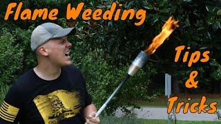 Sutton Vlog #7 - Tips and Tricks for Flame Weeding (Red Dragon)
