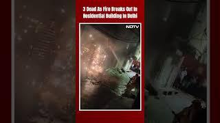 Delhi Fire Accident Today | 3 Dead As Fire Breaks Out In Residential Building In Delhi