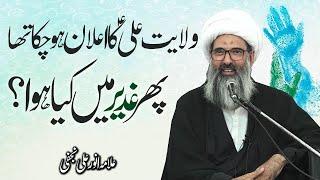 Ghadeer mai kia hua  Elan e Wilayat Pehly ho chuka tha   Allama Anwar Ali Najafi