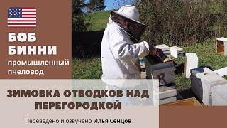 Зимовка отводков над перегородкой с двойной сеткой-решеткой на пасеке Боба Бинни, США