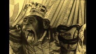 Five Minutes of Arabian Nights with Chimps C1920s Kodagraph, F1001