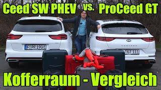 Kofferraum - Vergleich Kia Ceed Sportswagon Plug-in Hybrid vs. Kia ProCeed GT  Test Bericht deutsch