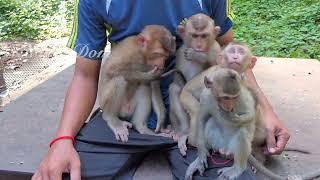 Everyone are starving sit wait me give them milk all orphans looks pitiful