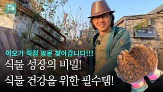 이것만 있으면 식물이 폭풍성장! 이오정원사가 직접 찾아갑니니다!