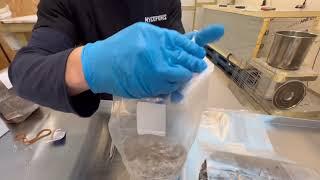 MycoPunks Grow Kit Instructions - Part 1 (Setup, colonisation)