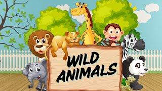 Wild Animals name for Kids | Learn Animal Names |