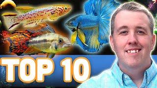 MY TOP 10 FISH FOR A 10 GALLON AQUARIUM