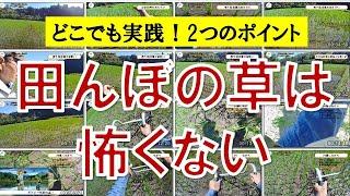 【田んぼの雑草対策】２つの方法を組み合わせ