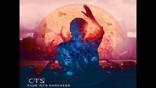 FADE INTO DARKNESS / CTS (Cover from AVICII's song)