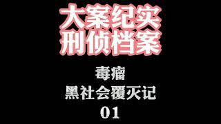 大案纪实【刑侦档案】有声小说 毒瘤【黑社会覆灭记】01