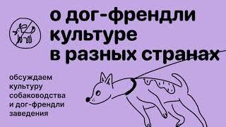 В какой стране собак любят больше? Выпуск о дог-френдли культуре в разных странах