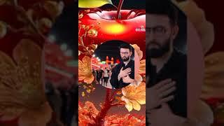 Syed amar ali rab kazmi|| maqabat 2024 || #kazmibrother110 #ali #alikazmi #shortvideo #kb110