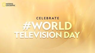 World Television Day | National Geographic