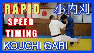 Ko uchi gari the Giant slayer