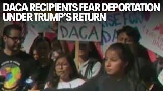 DACA recipients fear deportation under Trump’s return