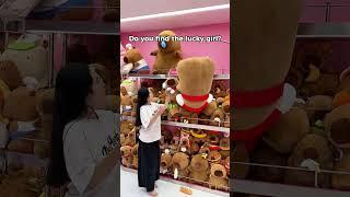 Do you find the lucky girl? #bemorishow #shorts #capybara #teddybear