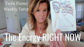 Twin Flame Collective : Shocking Shift & TRANSFORMATIONAL WISDOM