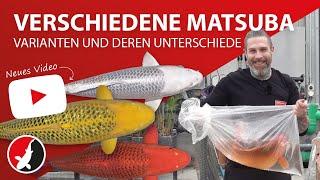 Verschiedene Matsuba Varianten und deren Unterschiede!